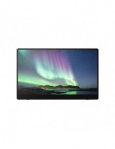 Monitor Portatil Ricoh 150