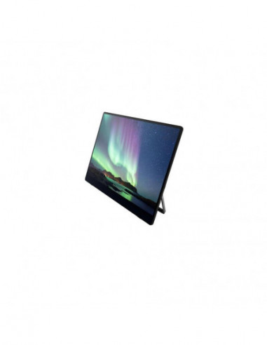 Monitor Portatil Ricoh 150