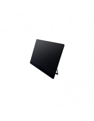 Monitor Portatil Ricoh 150