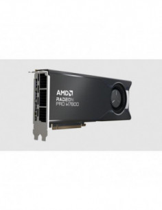 AMD VGA - 100-300000075