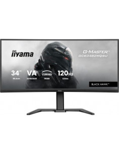 MONITOR IIYAMA G-MASTER...