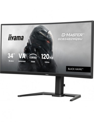MONITOR IIYAMA G-MASTER...