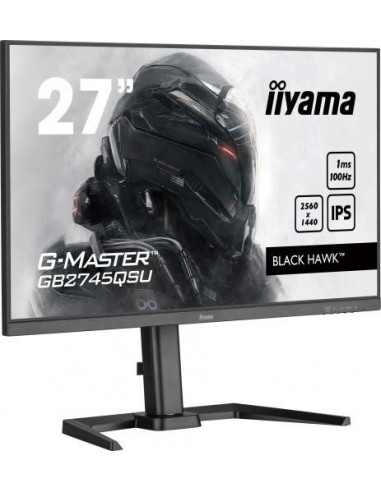 iiyama G-MASTER Black Hawk...