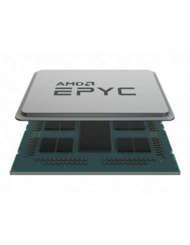 AMD EPYC 7402P / 2.8 GHz processador...