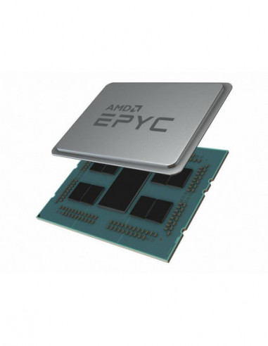 AMD EPYC 7402P / 2.8 GHz processador...