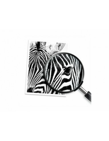 HP 912 Black Ink Cartridge