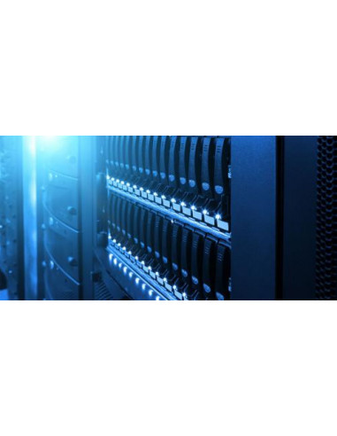 Disco Rígido Interno Western Digital...