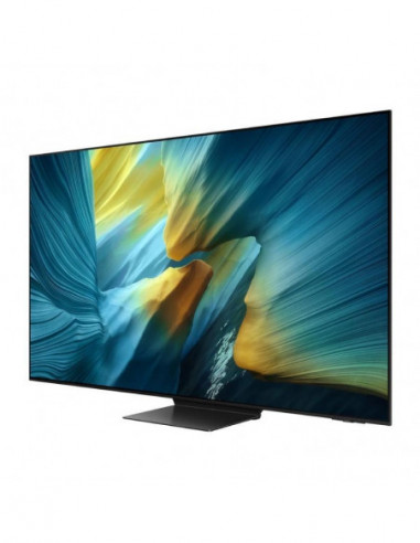 Samsung - Oled Smart Tv Tq55s95fatxxc