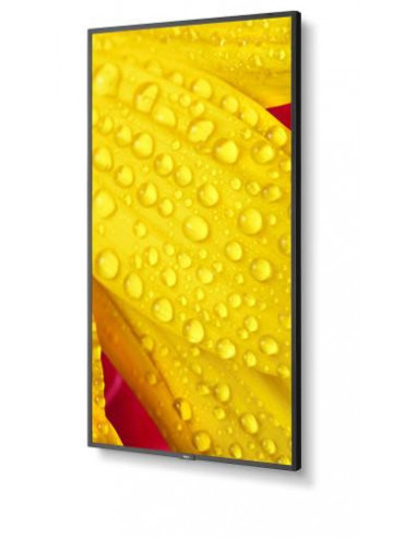 Televisor NEC MultiSync M551-2 50" 4K...