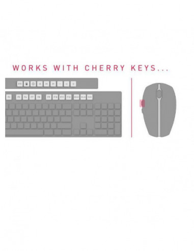 Rato Cherry JW-T0100 MW3000 - Sem...