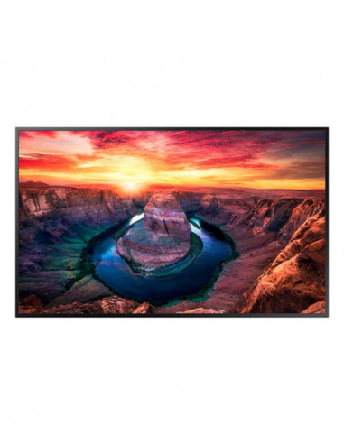 Monitor Samsung QM43B-T, 43" 4K...