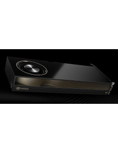 Placa Gráfica PCIe 96GB...