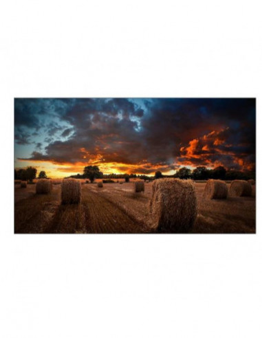 Samsung LH46VMBUBGBXEN pantalla mural...