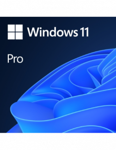 MS DSP Win Pro 11 64Bit Eng...