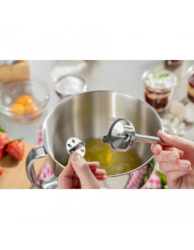 Caso - Varinha HB 2400 PRO XL 5CASOD3604