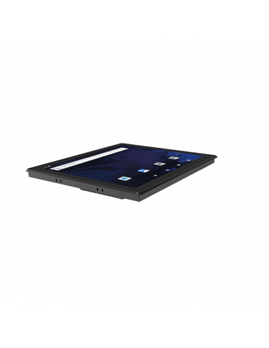 Computador Industrial INSYS EM5-P17R:...