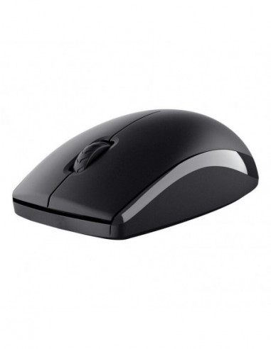 Teclado Español Y Raton Inalámbricos...