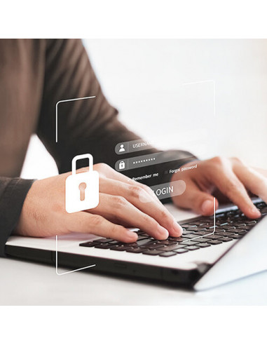 Punto de Acceso Zyxel...