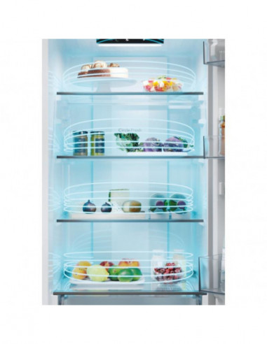 Candy - Combinado Cncq2t518ex