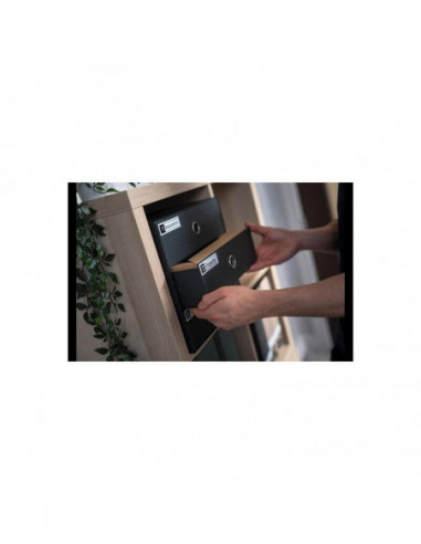 Etiquetadora Brother PT-D610BTVP:...