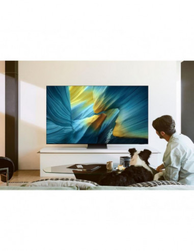 Samsung - Oled Smart Tv Tq83s95faexxc