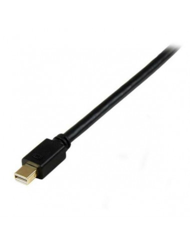 Cabo Adaptador StarTech Mini...