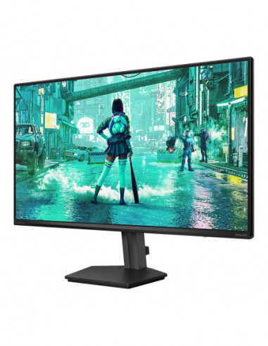 Monitor 24p LCD Philips Evnia 3000...