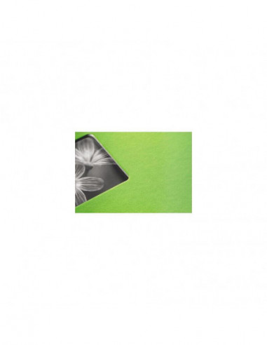 Hama "Fine Art" Spiral Kiwi 28x24 50...