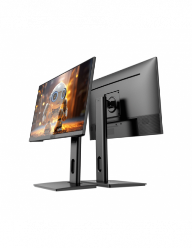 Monitor 23.8p INSYS LE6-FY238H FHD...